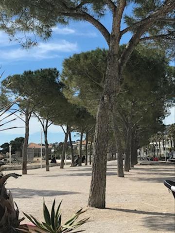 La Ciotat : Superbe Appartement Proche Du Port エクステリア 写真